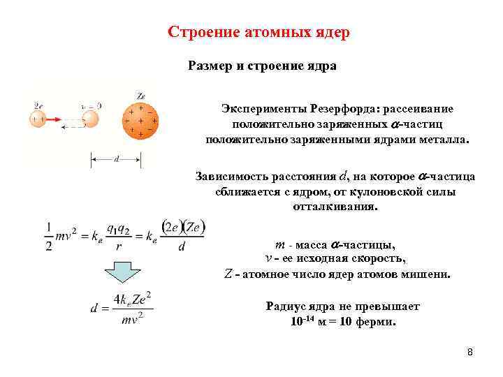 Строение атомных ядер Размер и строение ядра Эксперименты Резерфорда: рассеивание положительно заряженных частиц положительно