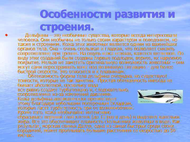  • Особенности развития и строения. Дельфины – это необычные существа, которые всегда интересовали