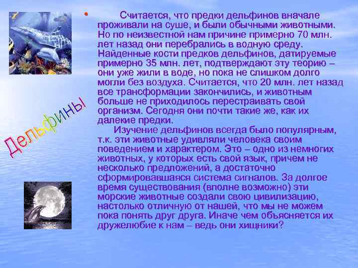 • Считается, что предки дельфинов вначале проживали на суше, и были обычными животными.