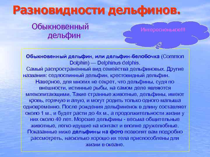 Разновидности дельфинов. Обыкновенный дельфин Интересненькое!!! Обыкновенный дельфин, или дельфин-белобочка (Common Dolphin) — Delphinus delphis.