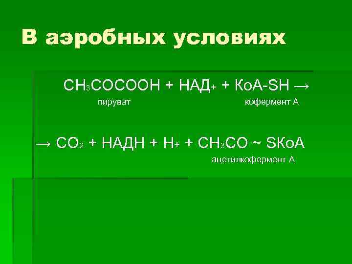 В аэробных условиях СН 3 СОСООН + НАД+ + Ко. А-SН → пируват кофермент