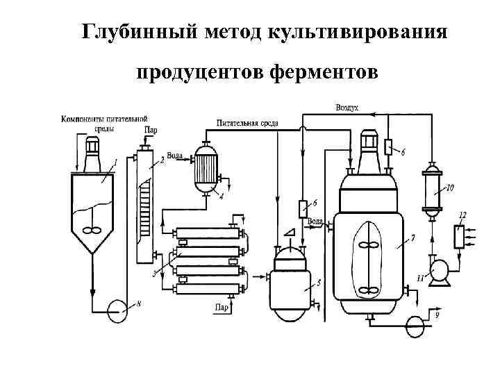 Глубинный метод культивирования продуцентов ферментов 