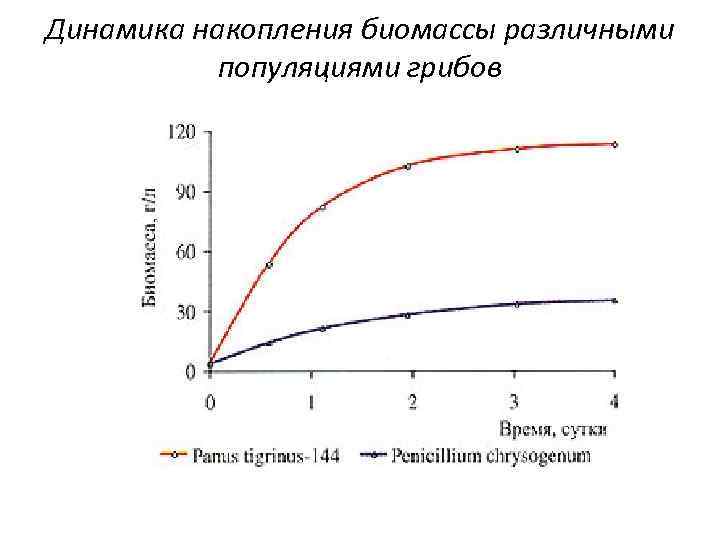 Динамика накопления биомассы различными популяциями грибов 
