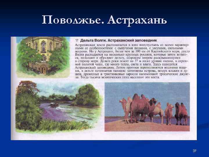 Поволжье. Астрахань 37 