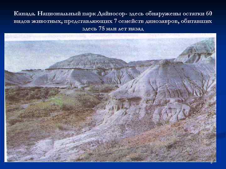 Канада. Национальный парк Дайносор- здесь обнаружены остатки 60 видов животных, представляющих 7 семейств динозавров,