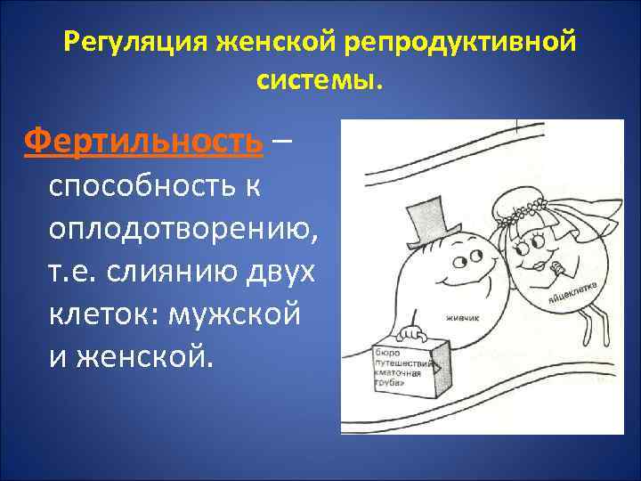 Регуляция женской репродуктивной системы. Фертильность – способность к оплодотворению, т. е. слиянию двух клеток: