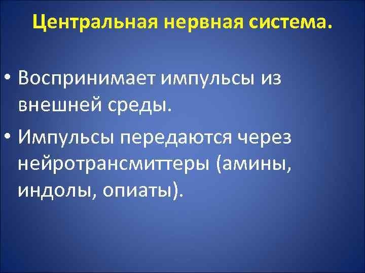 Центральная нервная система. • Воспринимает импульсы из внешней среды. • Импульсы передаются через нейротрансмиттеры