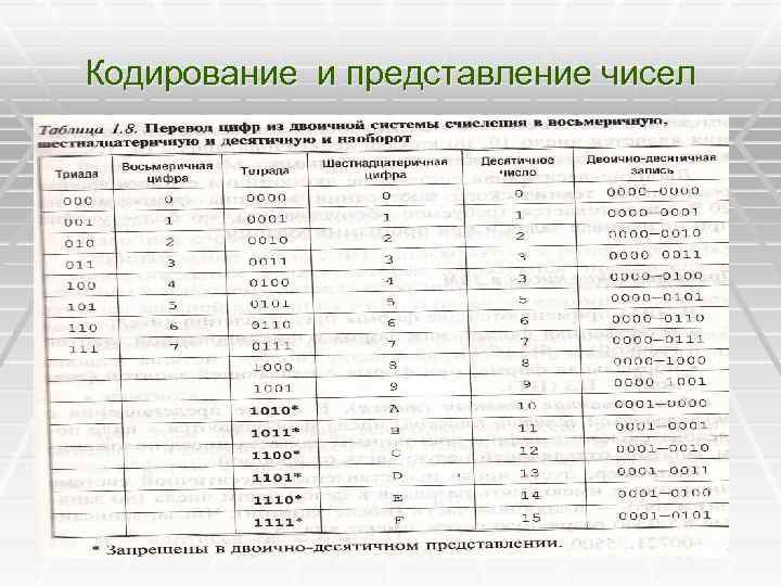 Кодирование и представление чисел 