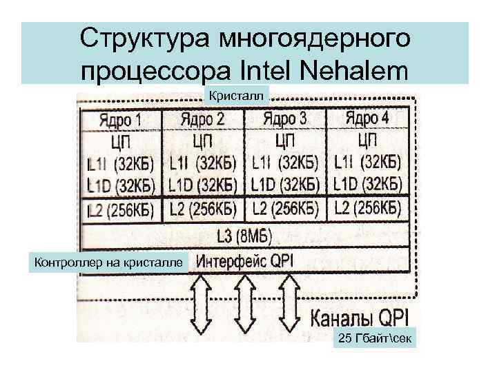 Структура многоядерного процессора Intel Nehalem Кристалл Контроллер на кристалле 25 Гбайтсек 
