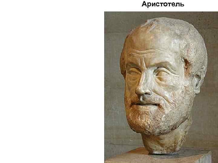 Аристотель 