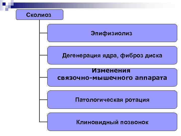 Сколиоз Эпифизиолиз Дегенерация ядра, фиброз диска Изменения связочно-мышечного аппарата Патологическая ротация Клиновидный позвонок 