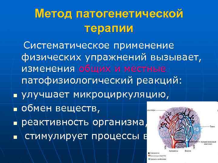 Метод патогенетической терапии n n Систематическое применение физических упражнений вызывает, изменения общих и местные