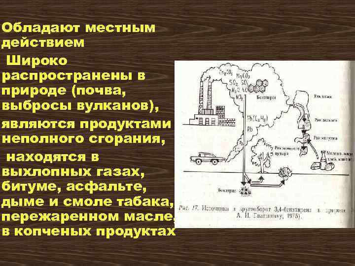 Обладают местным действием Широко распространены в природе (почва, выбросы вулканов), являются продуктами неполного сгорания,