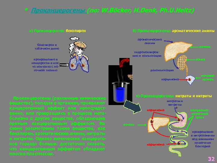 * Проканцерогены (по: W. Böcker, H. Denk, Ph. U. Heitz) а) Проканцероген: бензпирен в