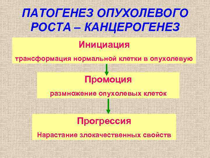 ПАТОГЕНЕЗ ОПУХОЛЕВОГО РОСТА – КАНЦЕРОГЕНЕЗ Инициация трансформация нормальной клетки в опухолевую Промоция размножение опухолевых