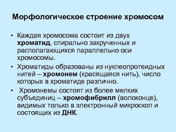 Морфологическое строение хромосом • Каждая хромосома состоит из двух хроматид, спирально закрученных и располагающихся