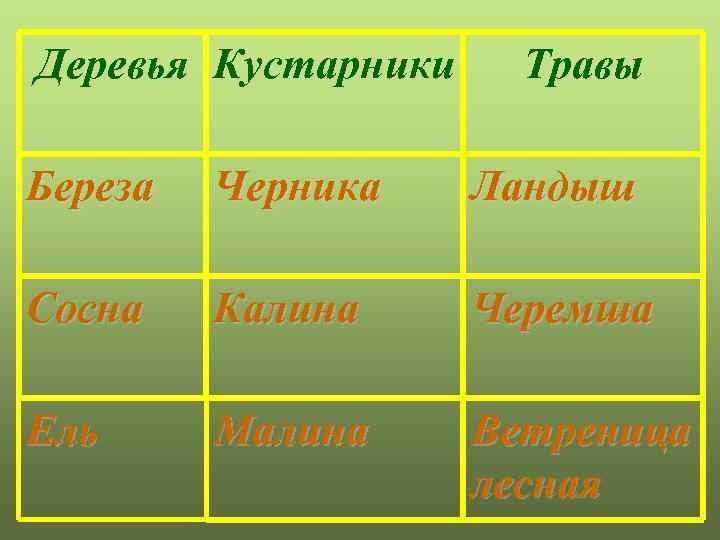 Деревья Кустарники Травы Береза Черника Ландыш Сосна Калина Черемша Ель Малина Ветреница лесная 