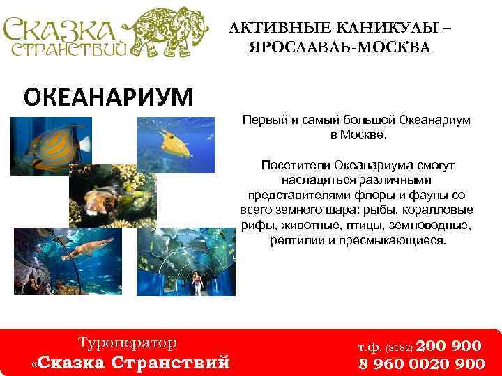 АКТИВНЫЕ КАНИКУЛЫ – ЯРОСЛАВЛЬ-МОСКВА ОКЕАНАРИУМ Первый и самый большой Океанариум в Москве. Посетители Океанариума