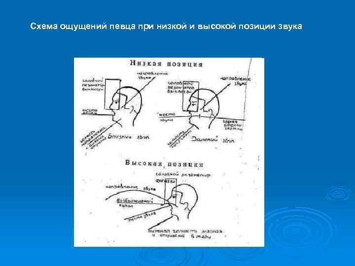 Положение звука. Высокая позиция в пении. Вокальные позиции в пении. Схема ощущений певца при низкой и высокой позиции. Схема позиция звука.