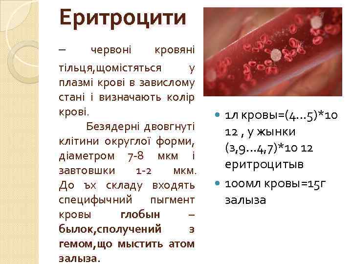 Еритроцити – червоні кровяні тільця, щомістяться у плазмі крові в завислому стані і визначають