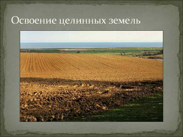 Освоение целинных земель 