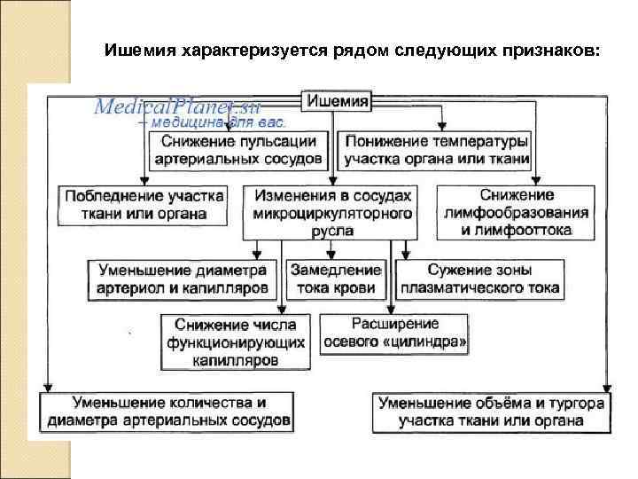 Ишемия характеризуется рядом следующих признаков: 