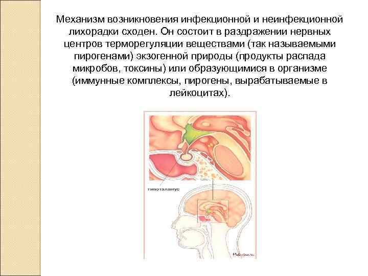 Механизм возникновения инфекционной и неинфекционной лихорадки сходен. Он состоит в раздражении нервных центров терморегуляции