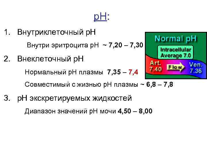 р. Н: 1. Внутриклеточный р. Н Внутри эритроцита р. Н ~ 7, 20 –