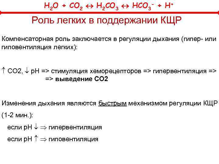 H 2 O + CO 2 H 2 CO 3 HCO 3 - +