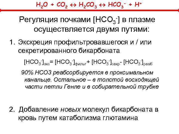 H 2 O + CO 2 H 2 CO 3 HCO 3 - +