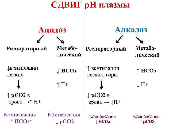 СДВИГ р. Н плазмы Ацидоз Алкалоз Респираторный Метабо- Респираторный лический ↓вентиляции легких ↓ НСОз-