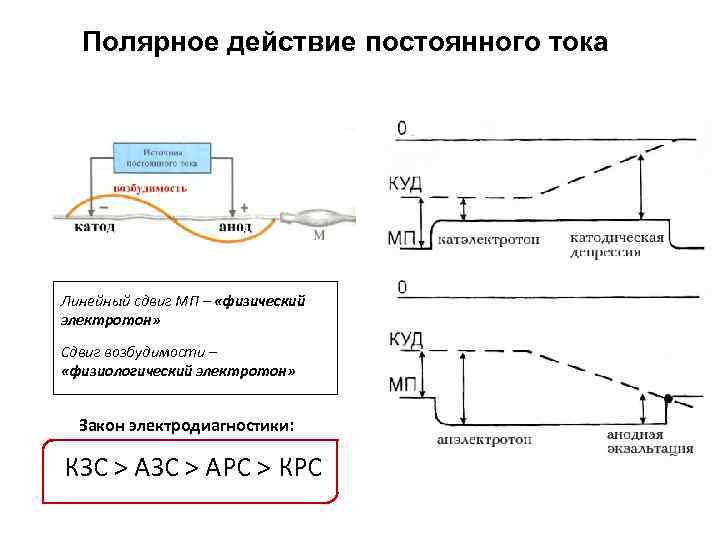 Полярное действие постоянного тока Линейный сдвиг МП – «физический электротон» Сдвиг возбудимости – «физиологический