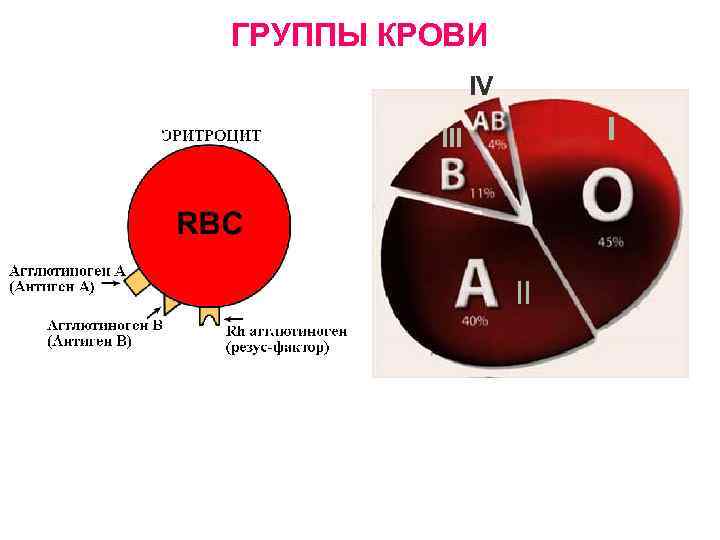 ГРУППЫ КРОВИ IV I II 