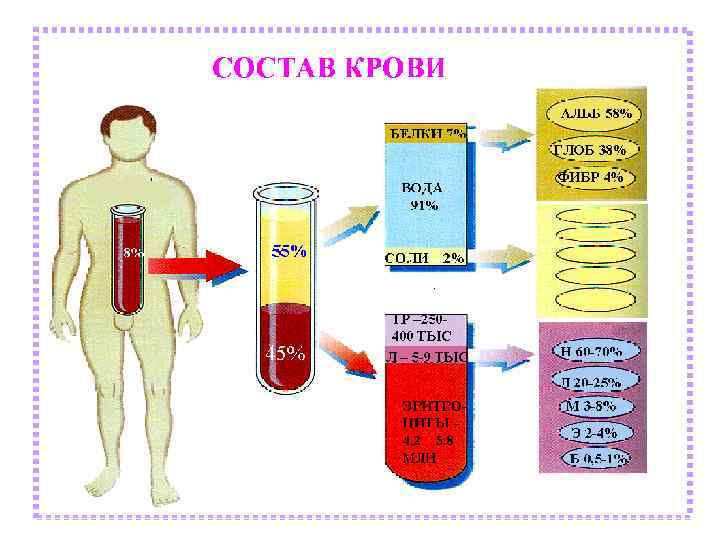 Система крови картинки