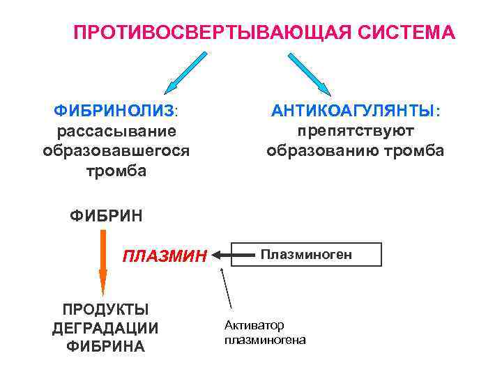 ПРОТИВОСВЕРТЫВАЮЩАЯ СИСТЕМА ФИБРИНОЛИЗ: рассасывание образовавшегося тромба АНТИКОАГУЛЯНТЫ: препятствуют образованию тромба ФИБРИН ПЛАЗМИН ПРОДУКТЫ ДЕГРАДАЦИИ