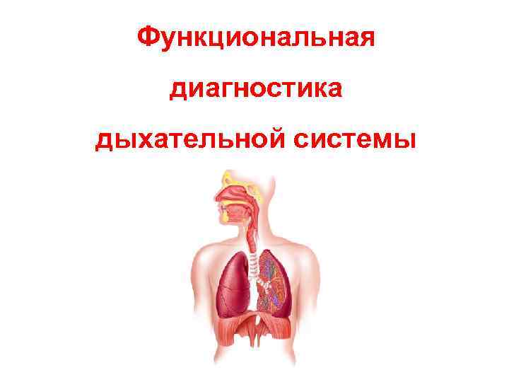 Функциональная диагностика дыхательной системы 