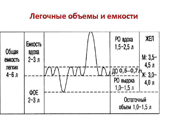 Графическое изображение фаз дыхания