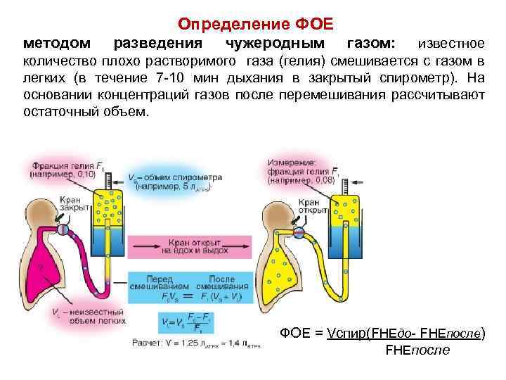 Схема функциональной системы дыхания