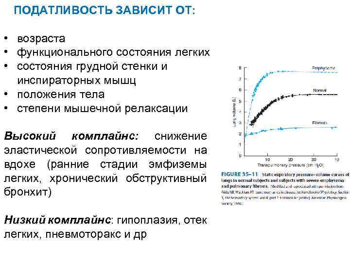  ПОДАТЛИВОСТЬ ЗАВИСИТ ОТ: • возраста • функционального состояния легких • состояния грудной стенки