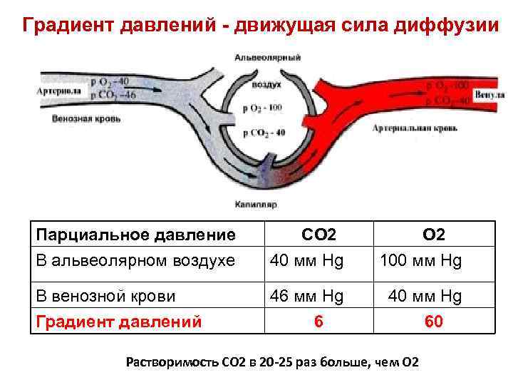 Градиент давления это