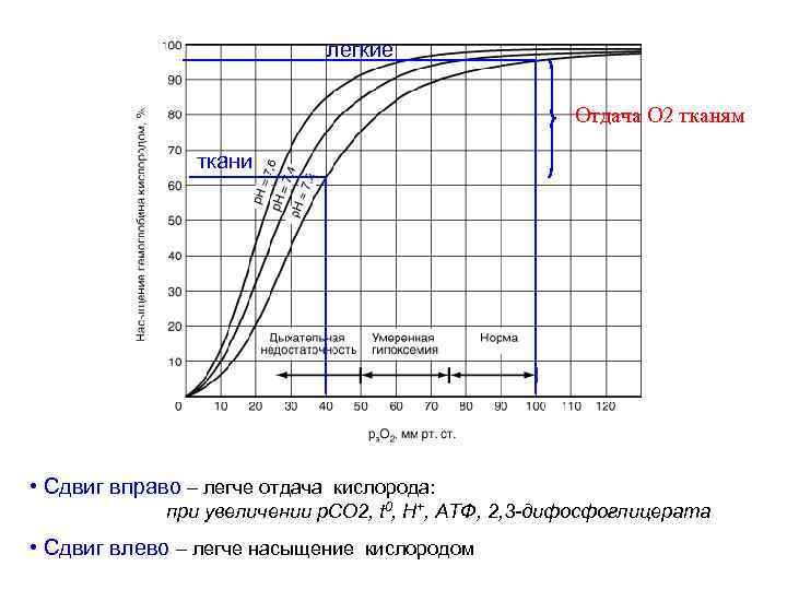 легкие Отдача О 2 тканям ткани • Сдвиг вправо – легче отдача кислорода: при