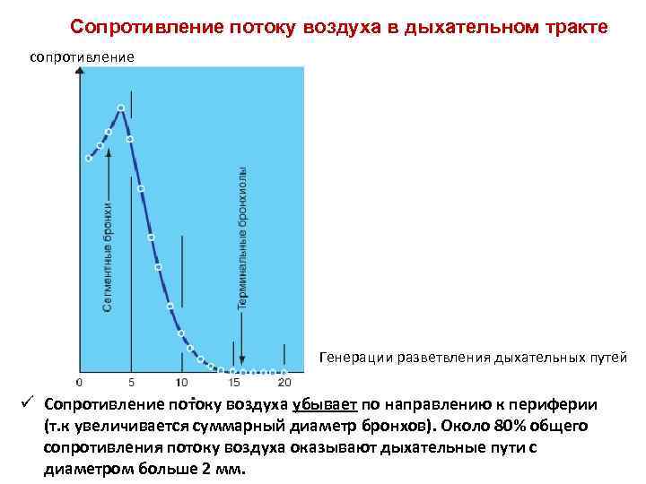 Сопротивление потоку воздуха в дыхательном тракте сопротивление Генерации разветвления дыхательных путей ü Сопротивление потоку