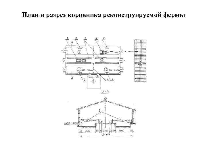 План и разрез коровника реконструируемой фермы 