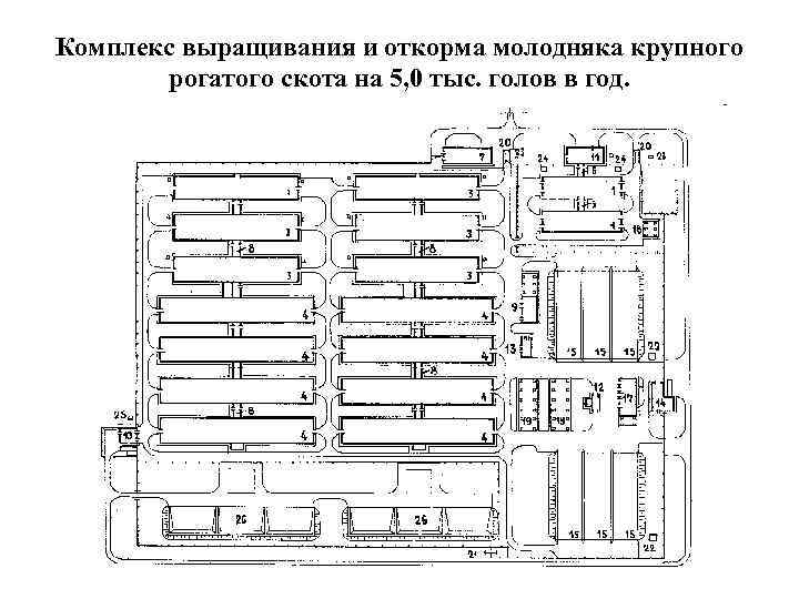 Комплекс выращивания и откорма молодняка крупного рогатого скота на 5, 0 тыс. голов в