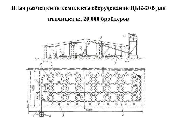 План размещения комплекта оборудования ЦБК-20 В для птичника на 20 000 бройлеров 