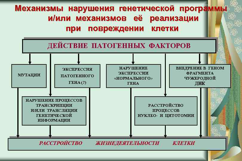 Нарушение реализации. Нарушение генетической программы клетки и механизмов ее реализации. Нарушение генетической программы. Наследственное повреждение клетки. Механизмы нарушений клеточной программы (мутации).