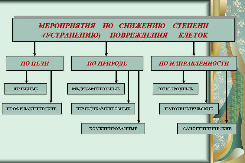 МЕРОПРИЯТИЯ ПО СНИЖЕНИЮ СТЕПЕНИ (УСТРАНЕНИЮ) ПОВРЕЖДЕНИЯ КЛЕТОК ПО ЦЕЛИ ЛЕЧЕБНЫЕ ПРОФИЛАКТИЧЕСКИЕ ПО ПРИРОДЕ МЕДИКАМЕНТОЗНЫЕ