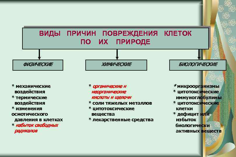 ВИДЫ ПРИЧИН ПОВРЕЖДЕНИЯ КЛЕТОК ПО ИХ ПРИРОДЕ ФИЗИЧЕСКИЕ * механические воздействия * термические воздействия