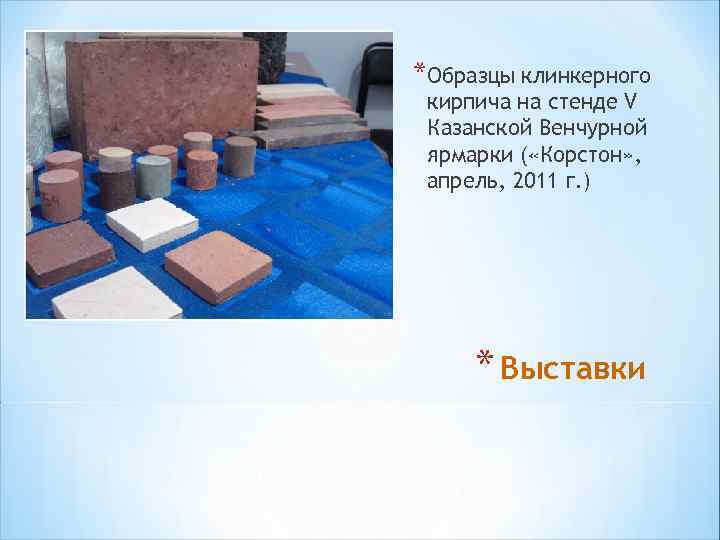 *Образцы клинкерного кирпича на стенде V Казанской Венчурной ярмарки ( «Корстон» , апрель, 2011