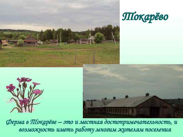 Токарёво Ферма в Токарёве – это и местная достопримечательность, и возможность иметь работу многим